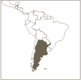 gdfgdfgdf